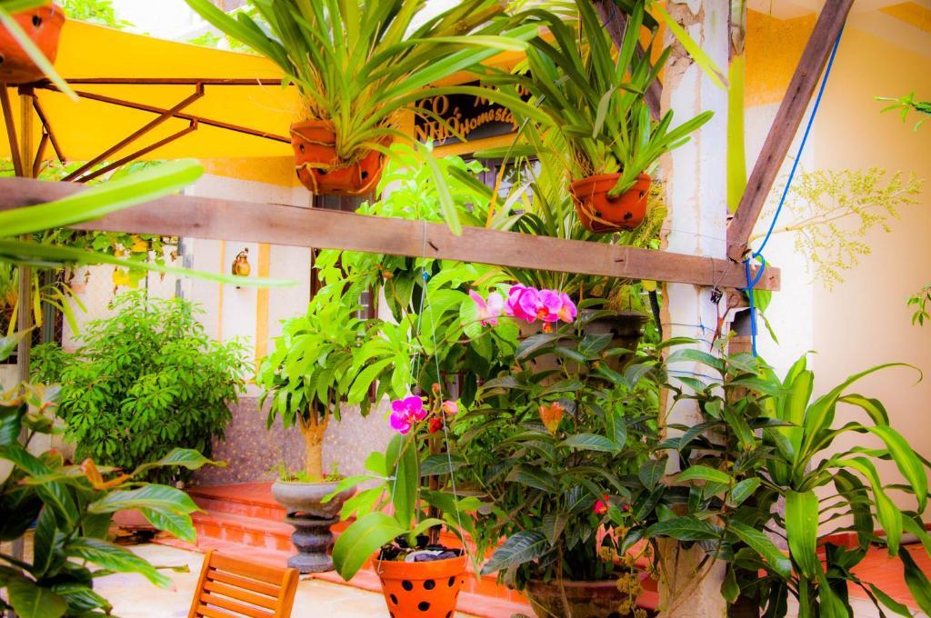 Memories Homestay Hoi An Esterno foto